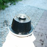 DSCF6731