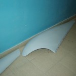DSCF7229