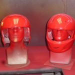 ROTE-SAU-postup 024