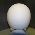 DSCN3481